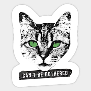 Cat with green eyes animal Sticker